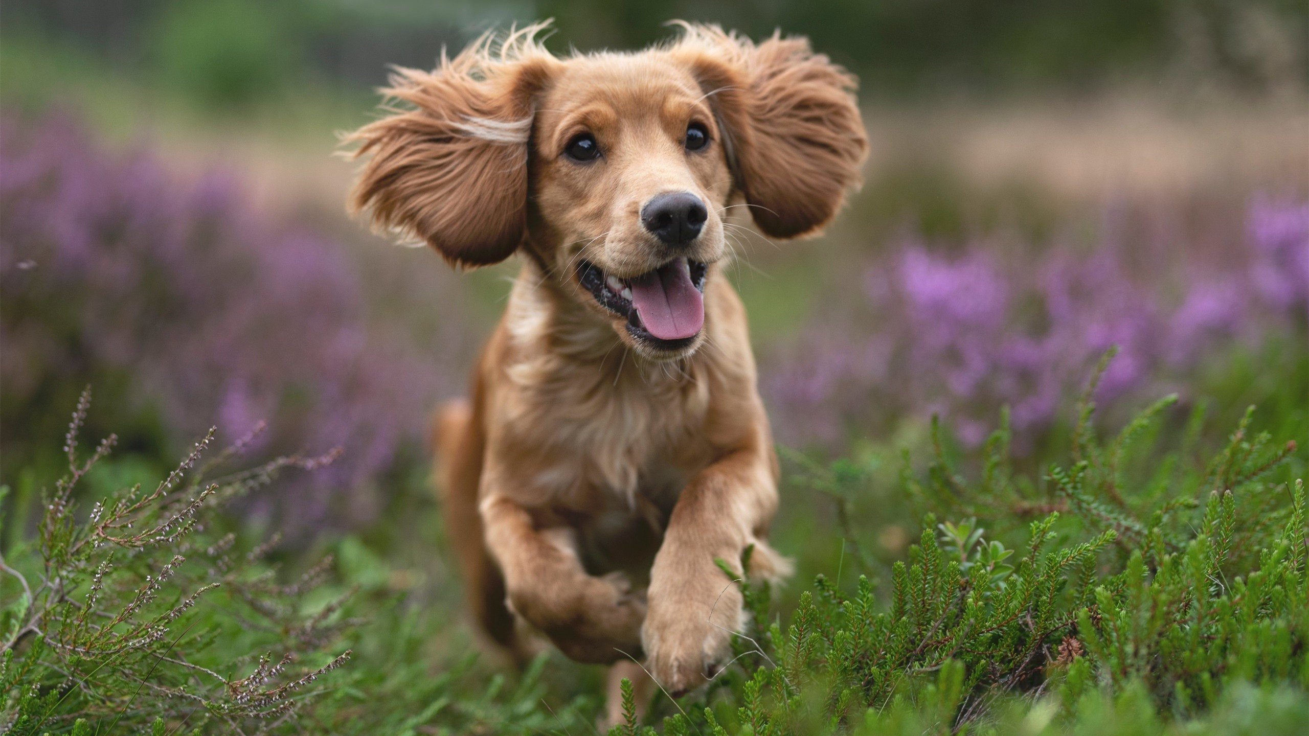 字母哥空降山西引爆篮球宇宙！淘汰赛斩奇才，这剧本谁敢信？